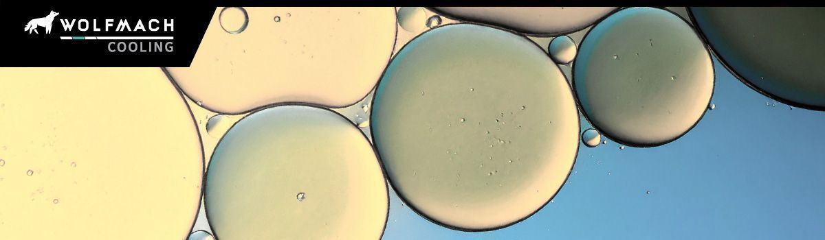 water and oil not in an emulsion